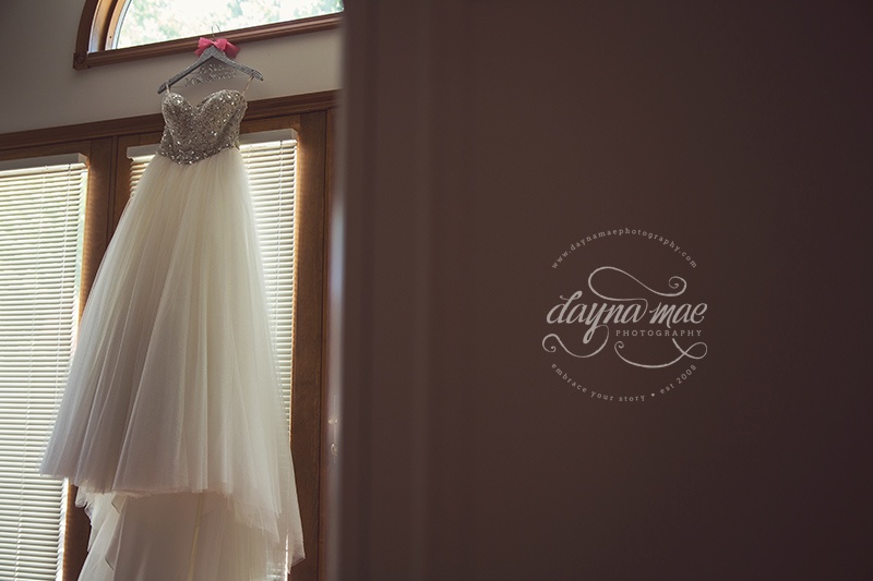 ann_arbor_wedding_01