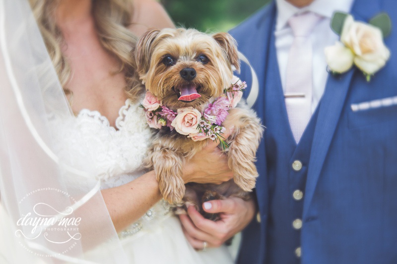 Ann_Arbor__Barn_Wedding-034