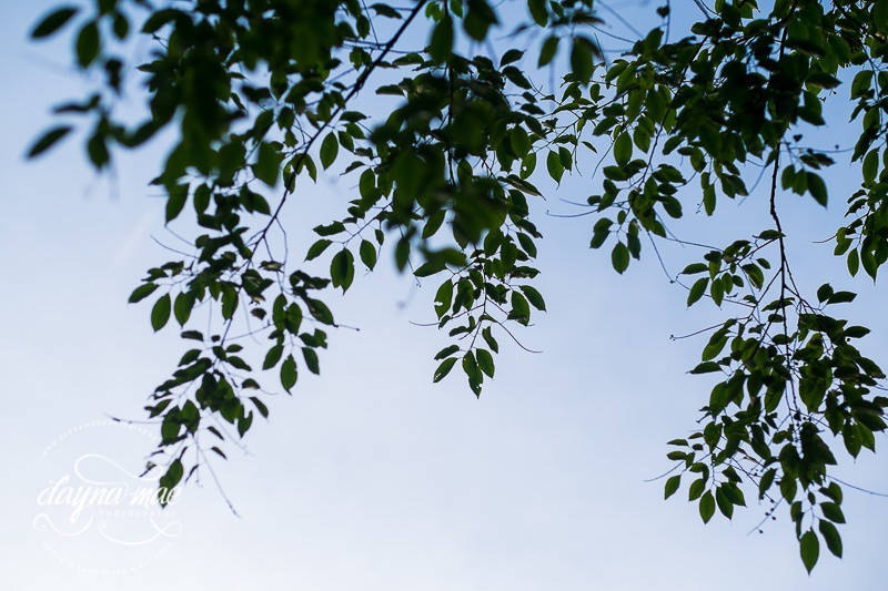 Ann_Arbor__Barn_Wedding-053