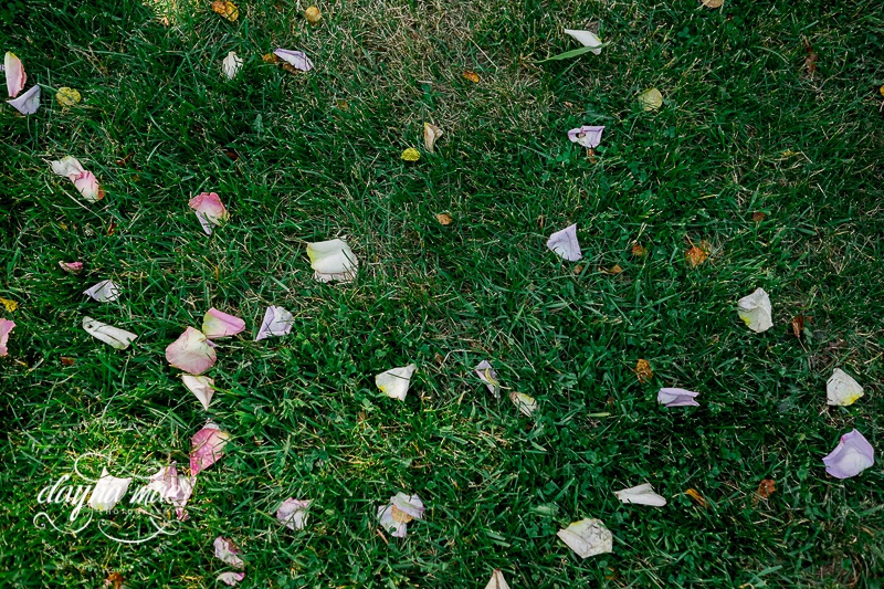 Ann_Arbor__Barn_Wedding-061